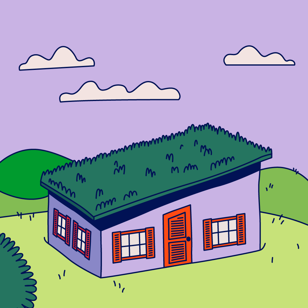 Image of 79 Ape Lane